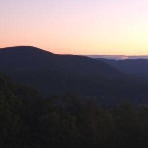 Meet your Posher, Ariel